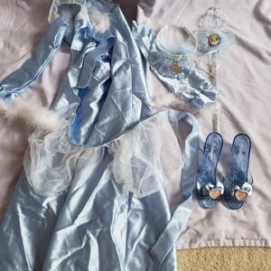 Cinderella Halloween costume